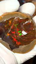 Chocolate Opal/Mezezo Opal