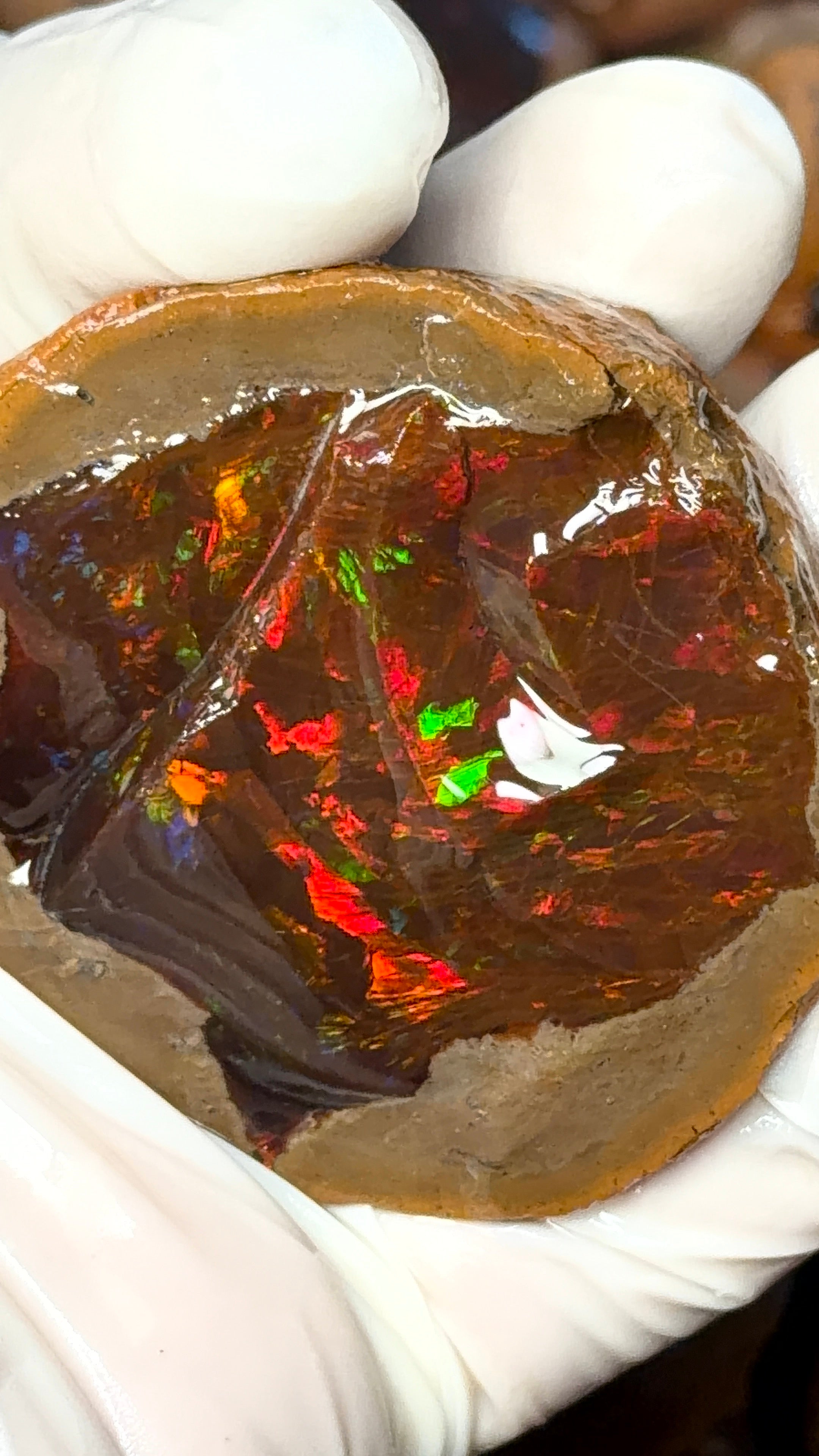 Chocolate Opal/Mezezo Opal