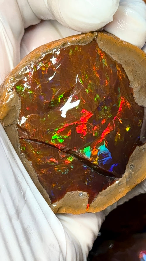 Chocolate Opal / Mezezo Opal