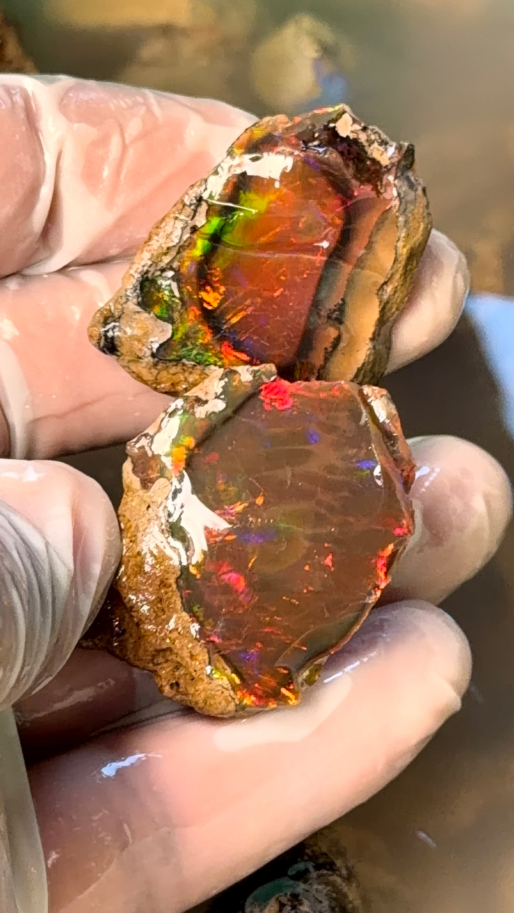 Ethiopian Specimen Opal/ Crystal Opal