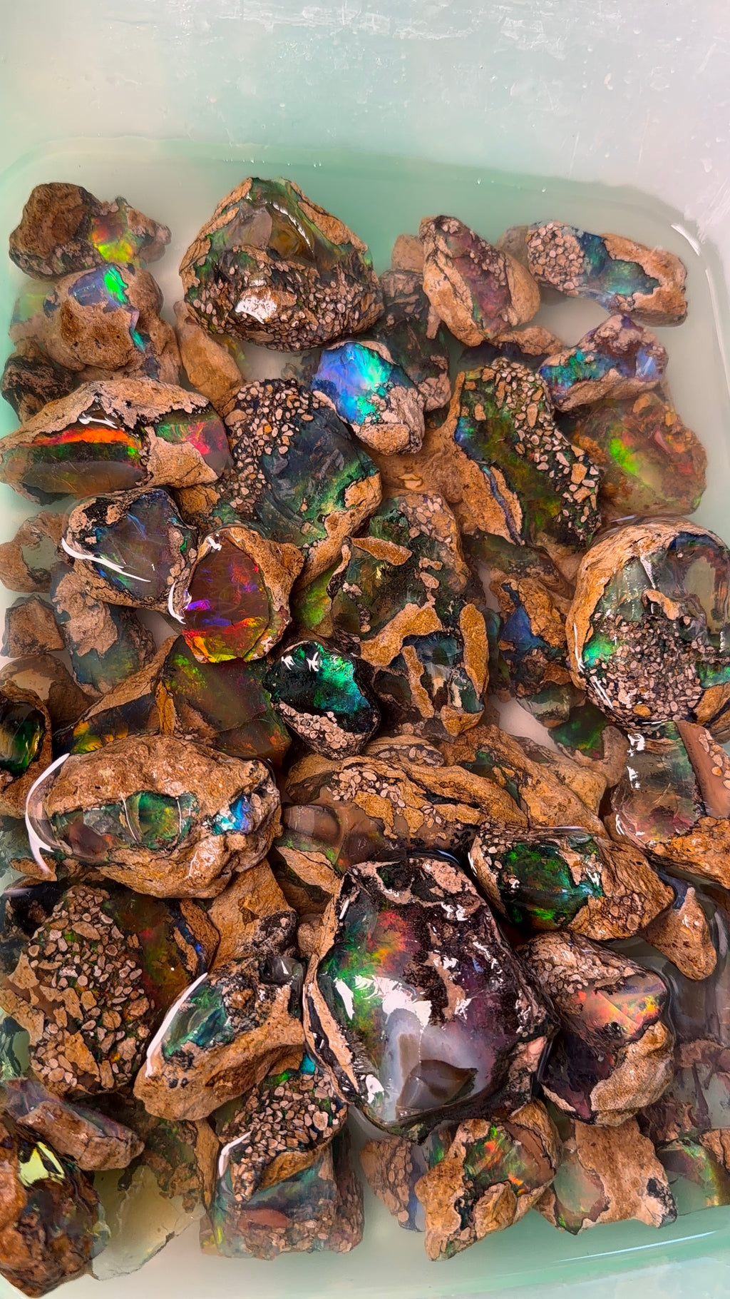 Ethiopian Specimen Opal/ Crystal Opal