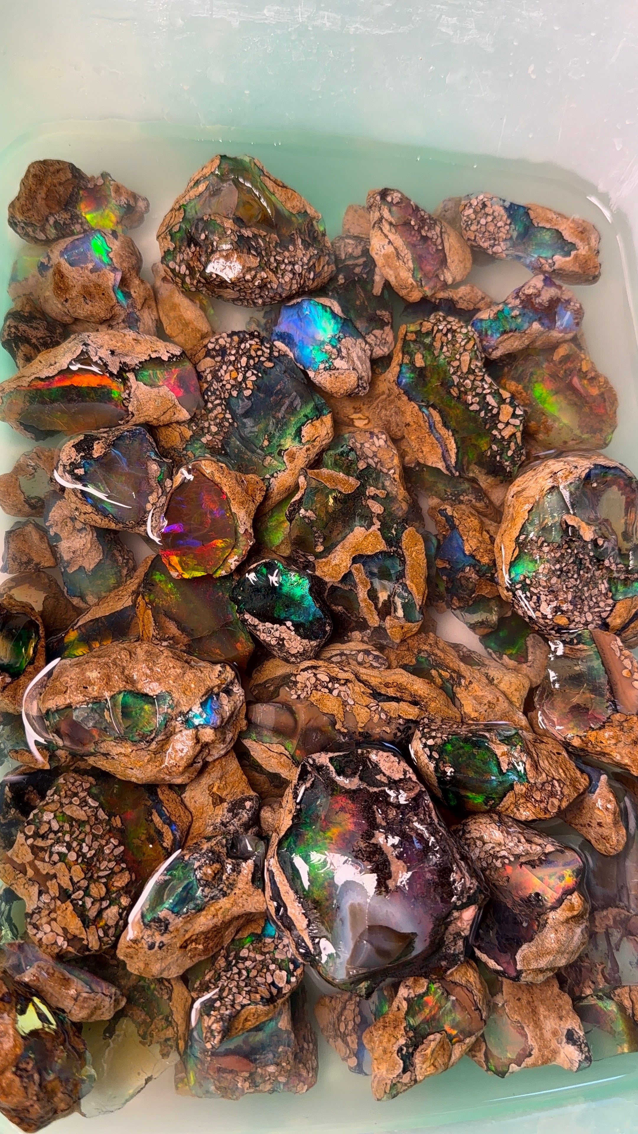 Ethiopian Specimen Opal/ Crystal Opal