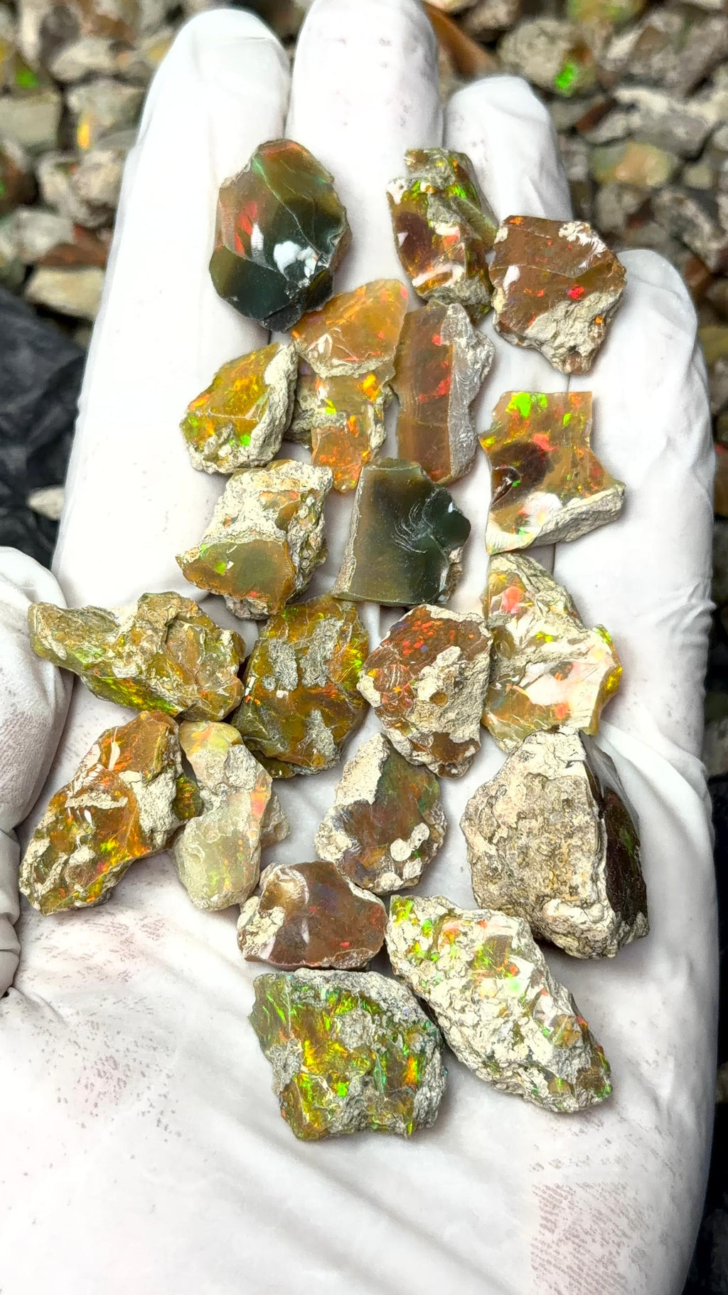 Rough Opal (un cutted)