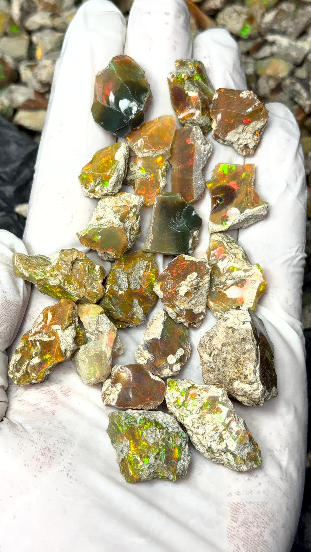 Rough Opal (un cutted)