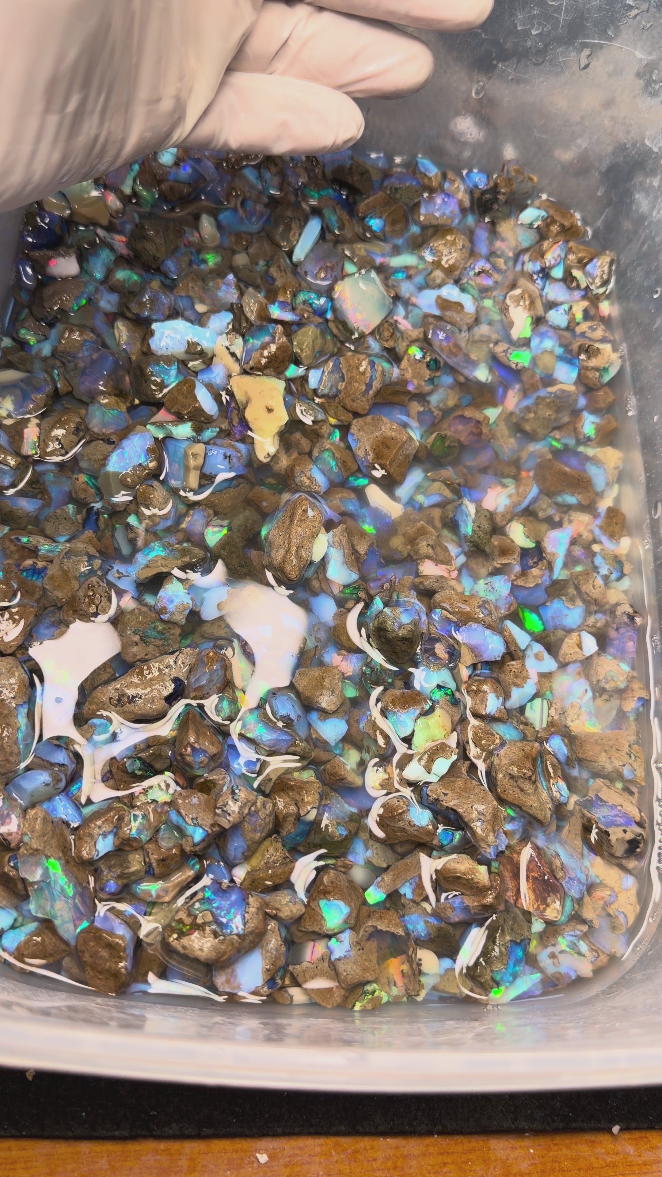 Ethiopian Chalk Opal / Bluish