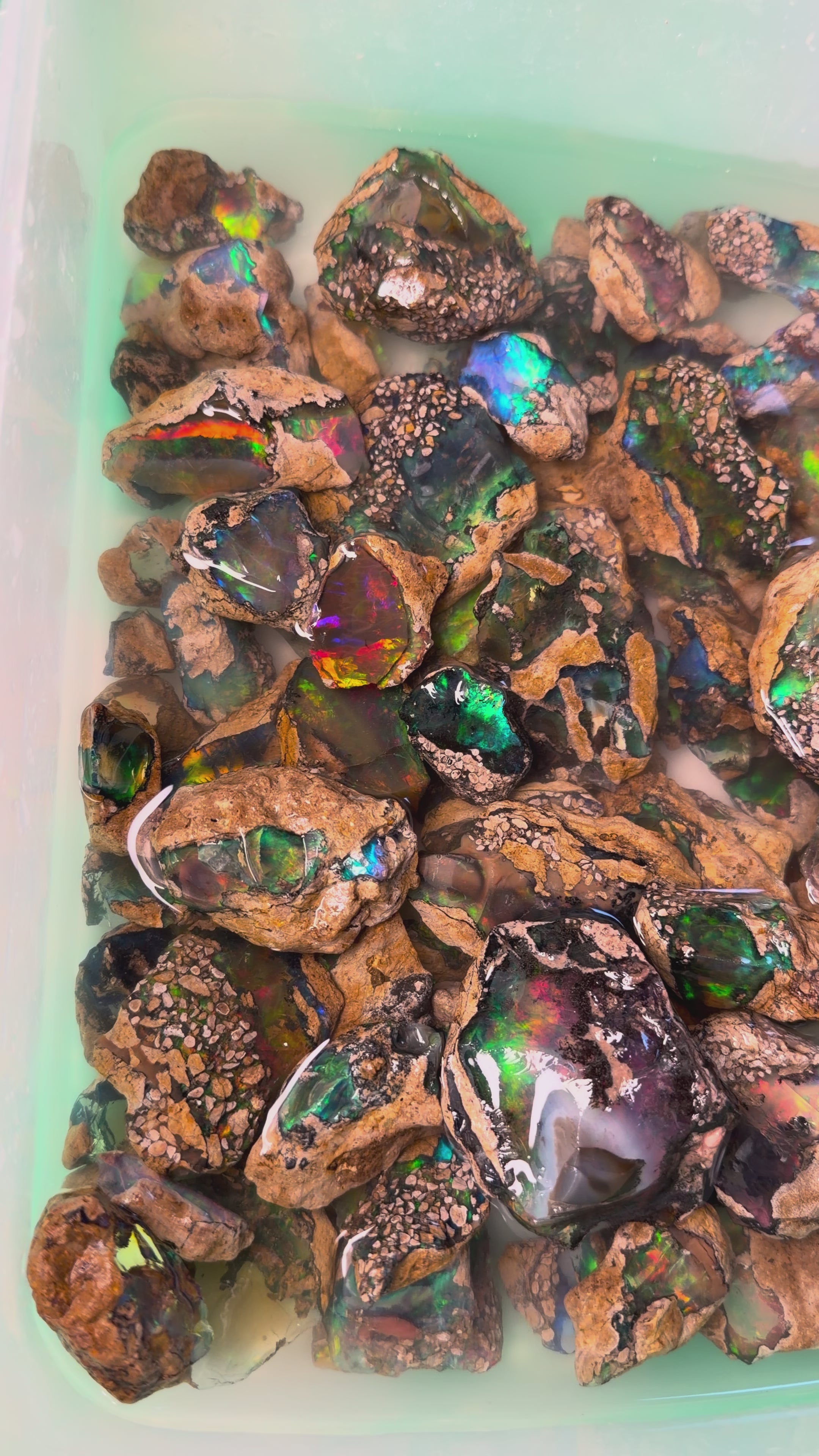 Ethiopian Specimen Opal/ Crystal Opal