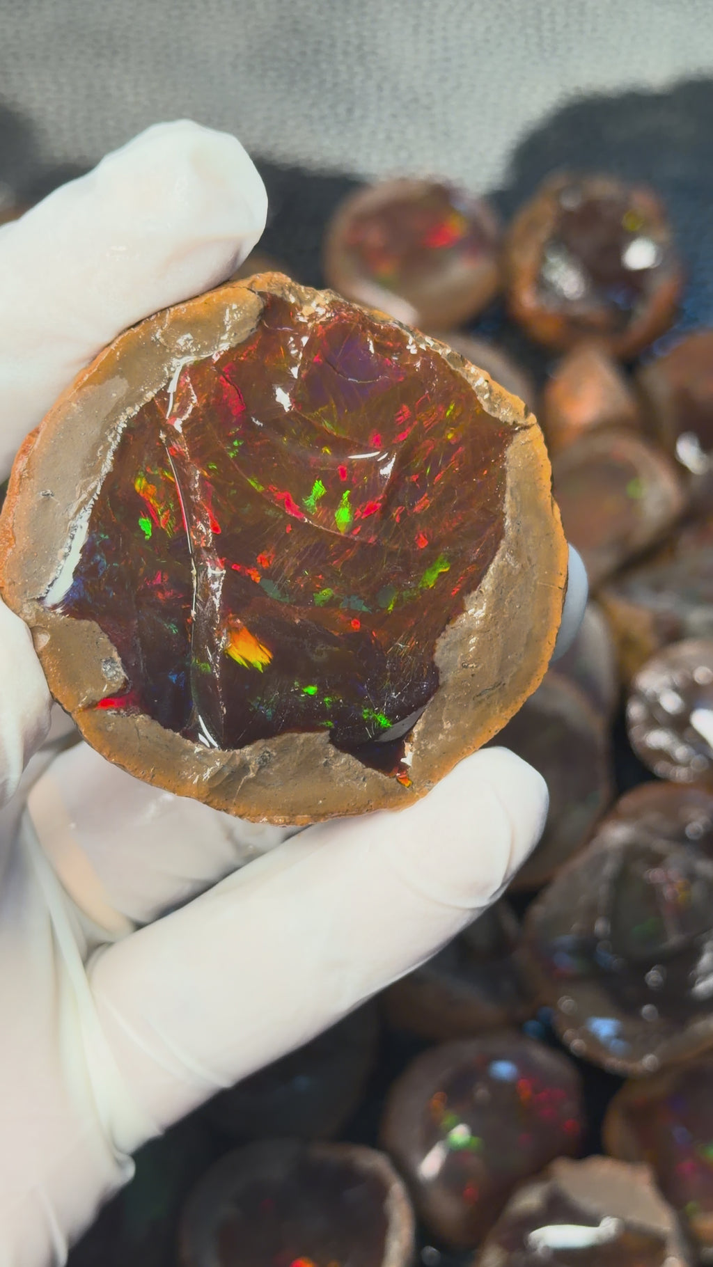 Chocolate Opal/Mezezo Opal