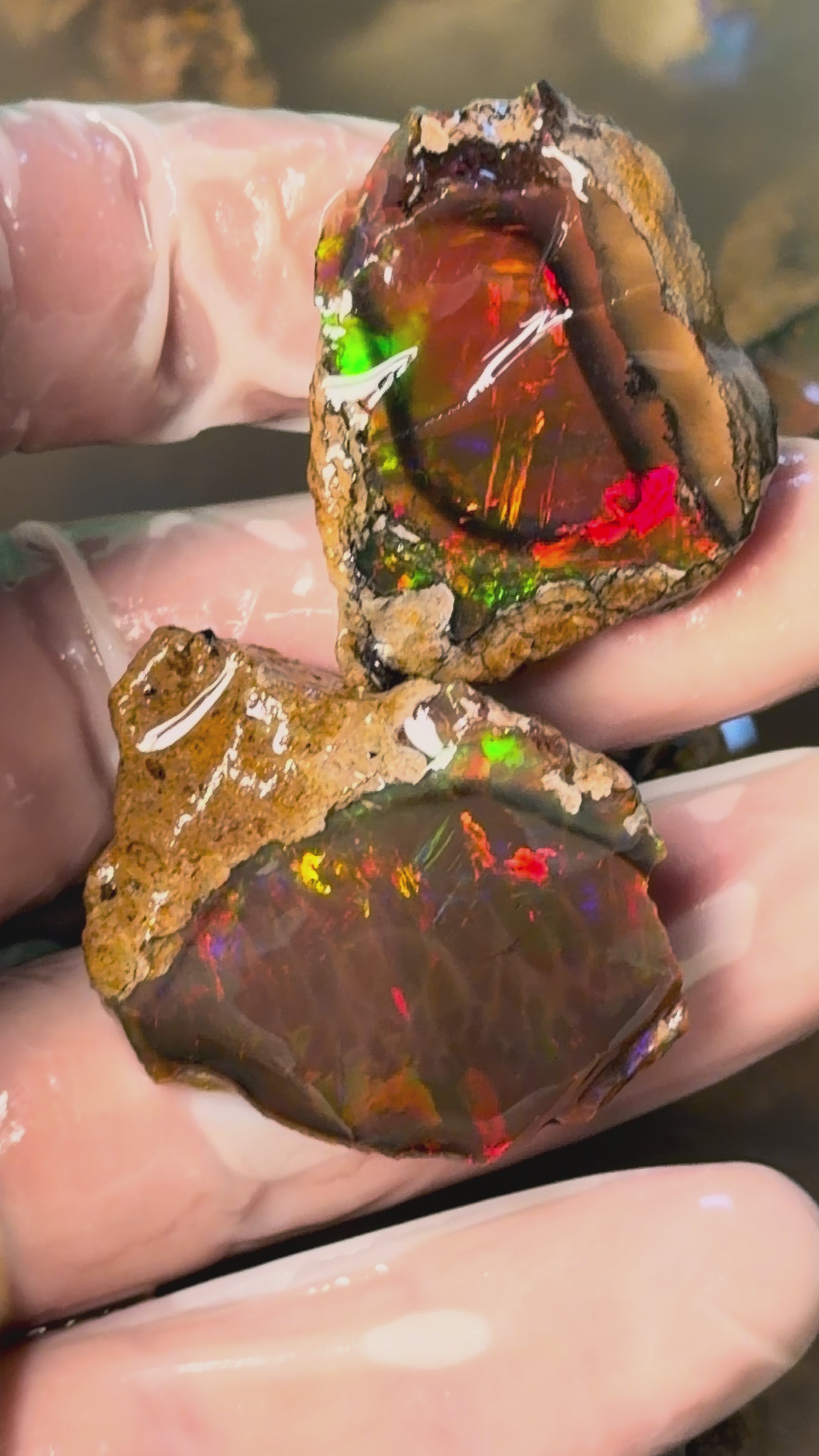 Ethiopian Specimen Opal/ Crystal Opal