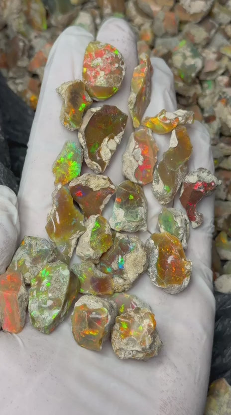 Rough Opal (un cutted)