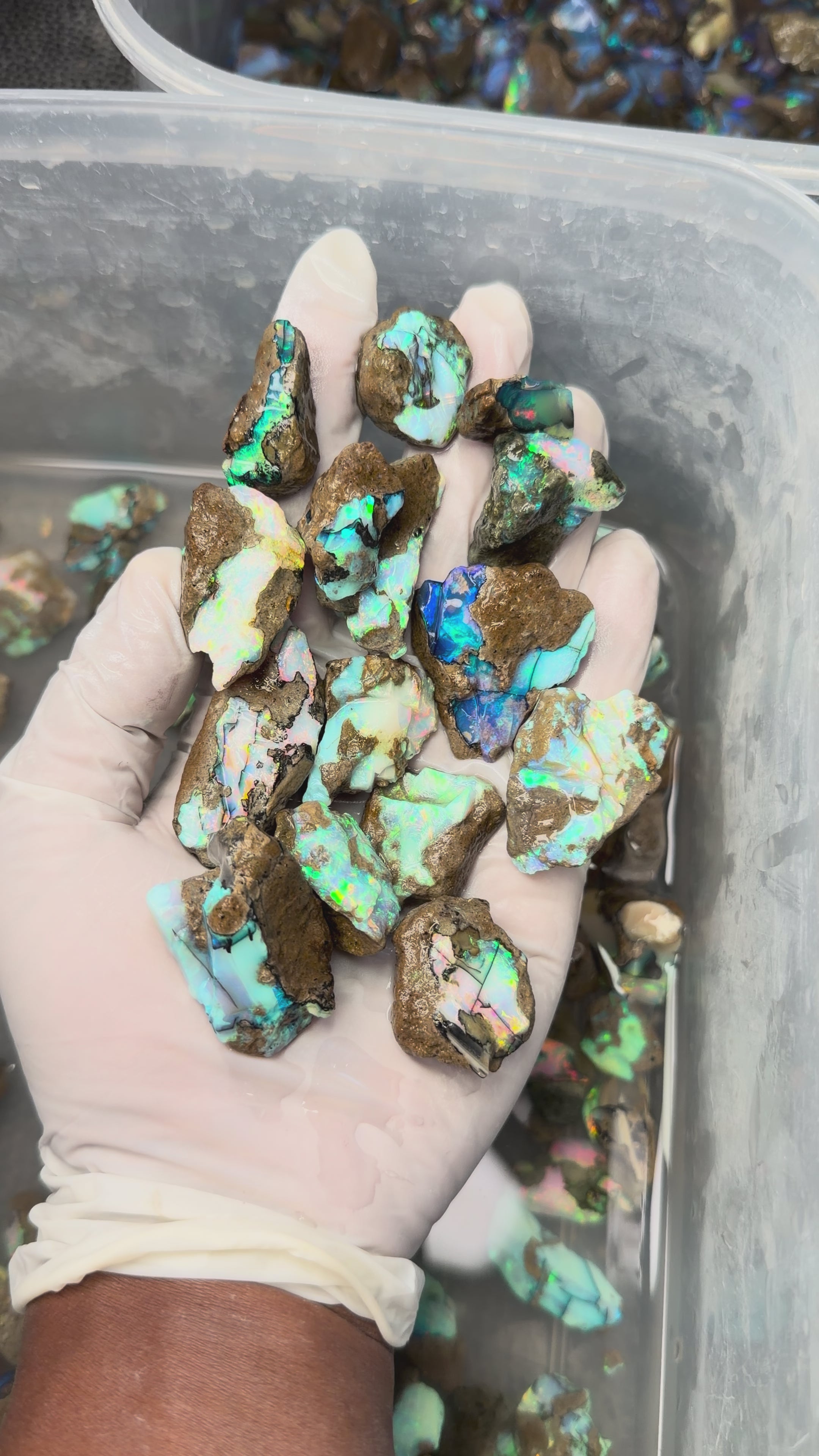 Ethiopian Chalk Opal